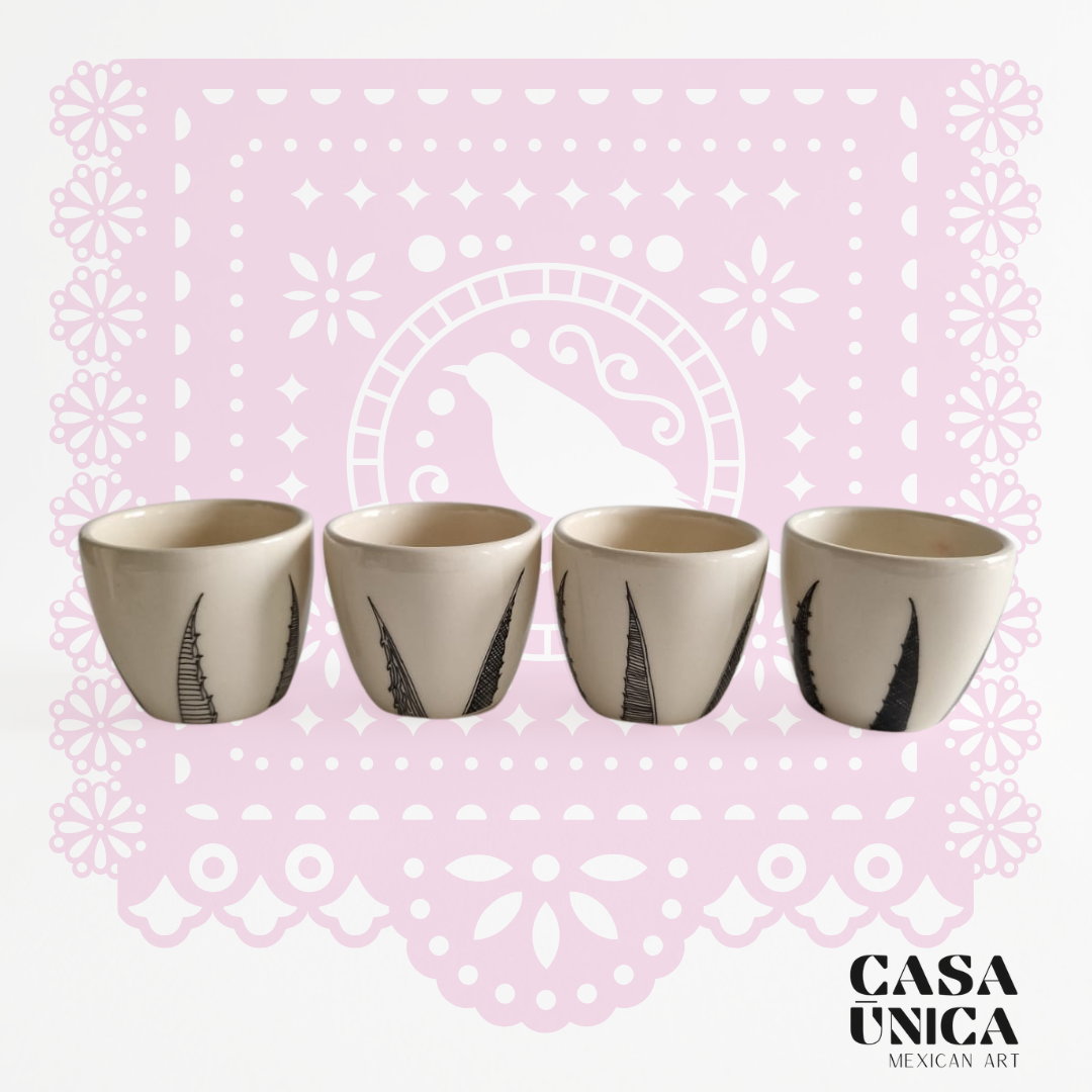 Brown Agave | Rain Tequila Set