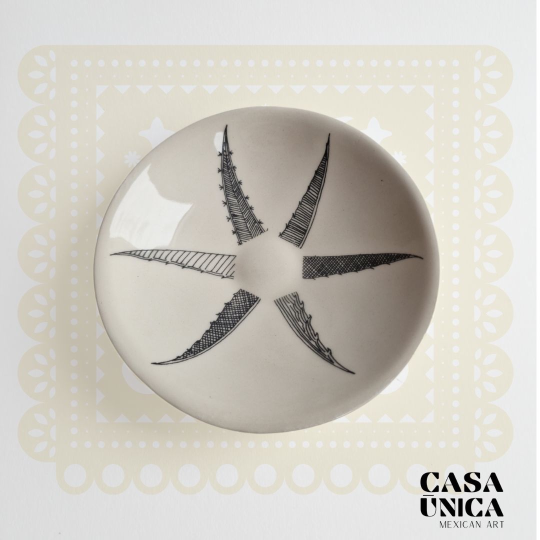 Colorful Agave | Rain Tequila Set
