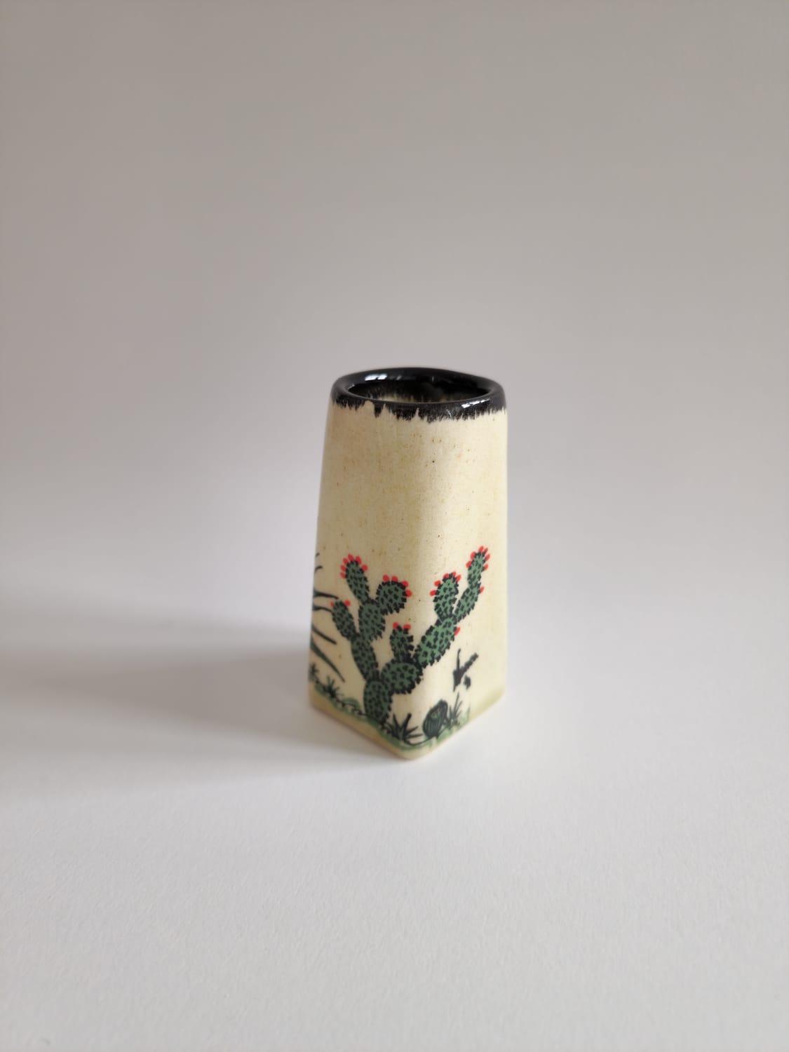 Cactus | Tequila Shot Glasses (Black)