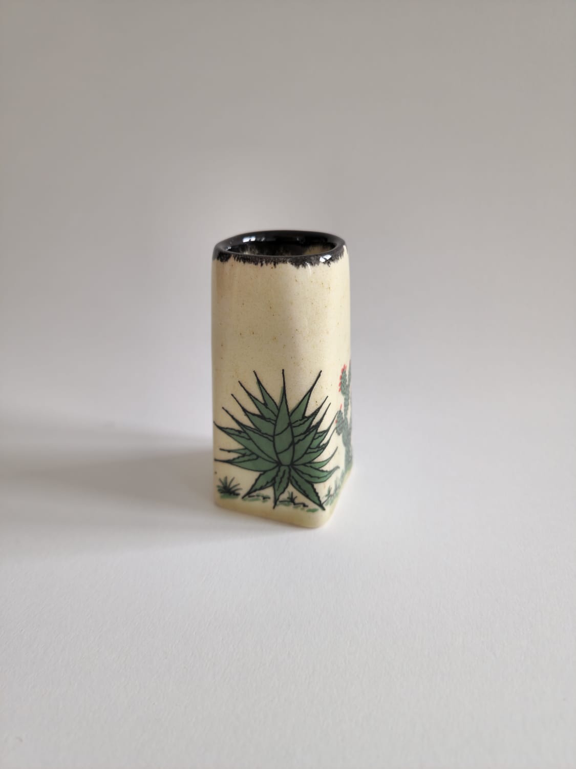 Cactus | Tequila Shot Glasses (Black)