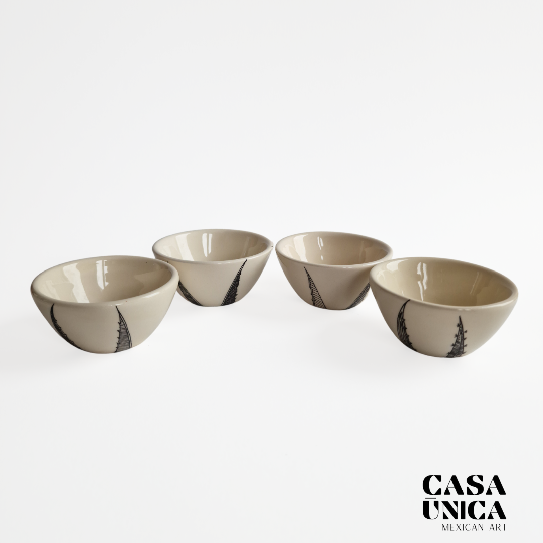 Colorful Agave | Rain Tequila Set