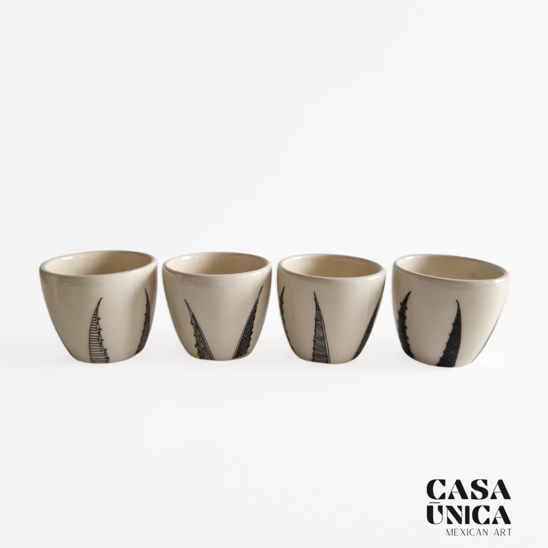 Brown Agave | Rain Tequila Set