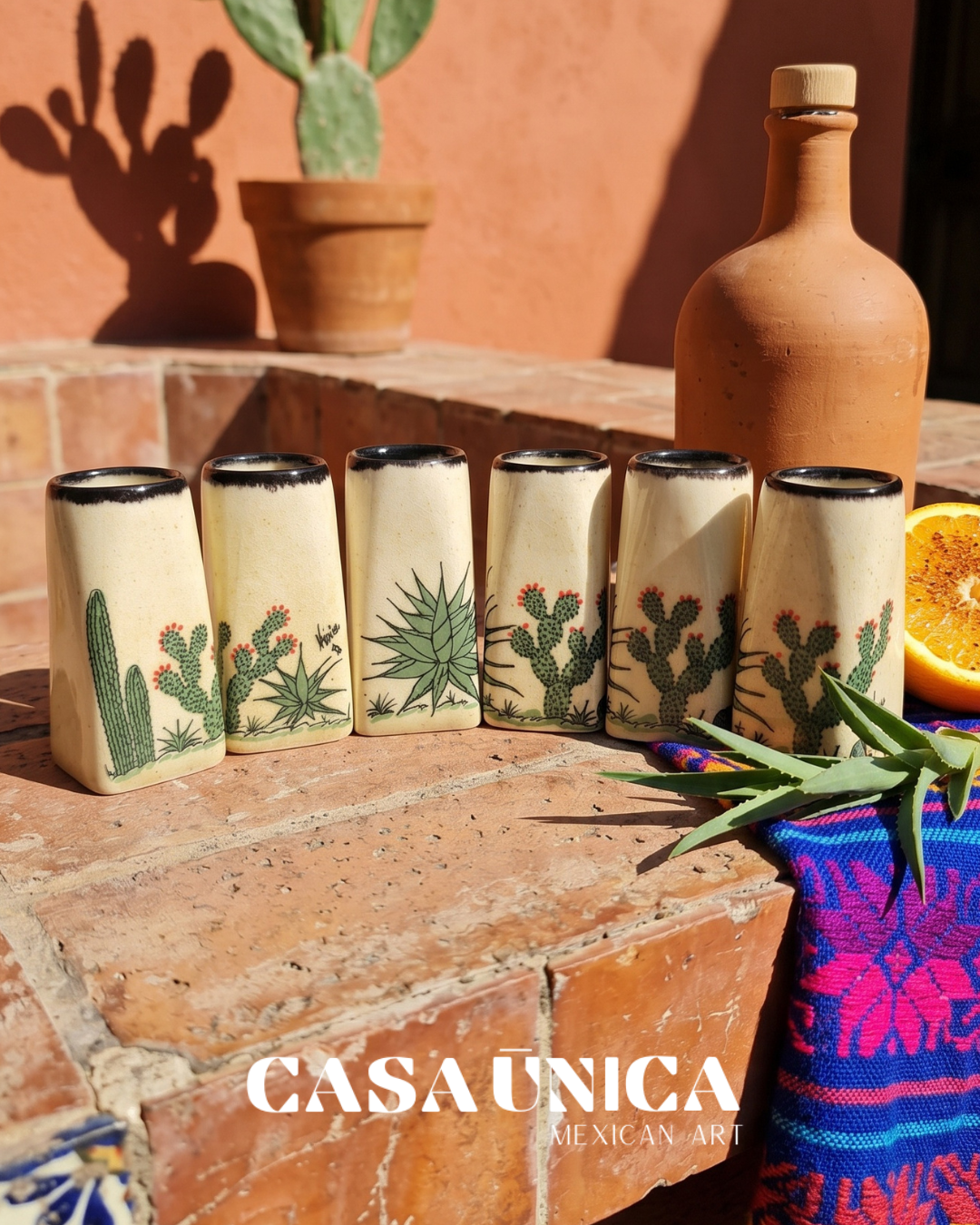 Cactus | Tequila Shot Glasses (Black)