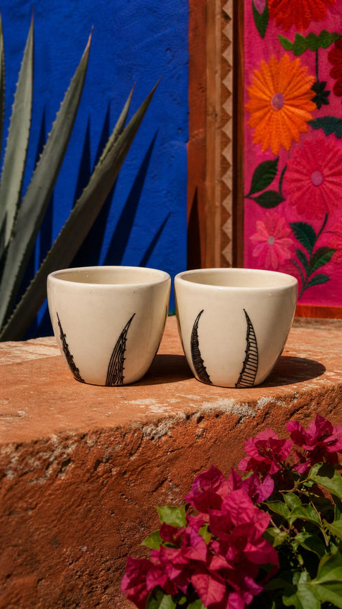 Agave Glasses | Set