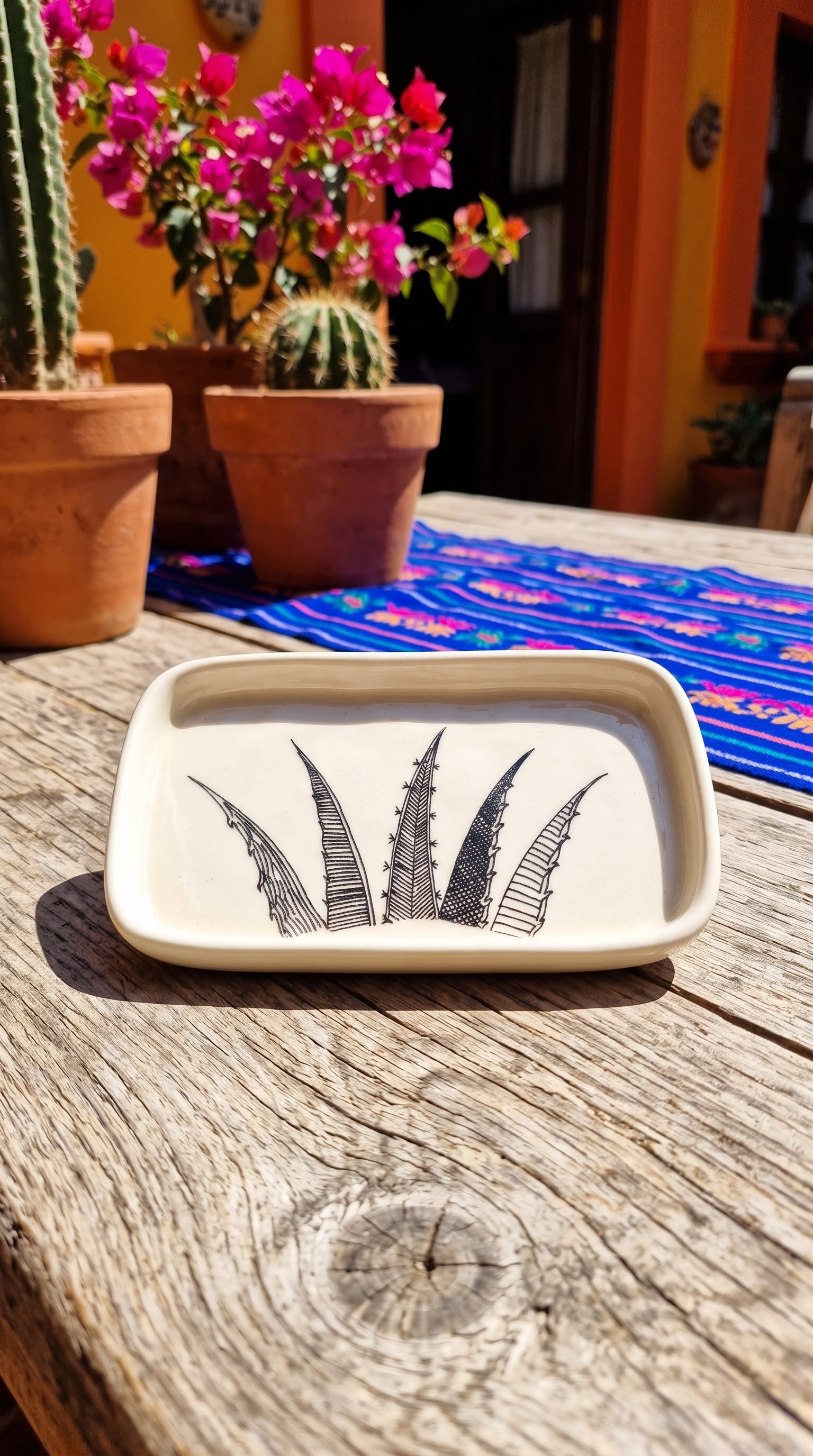 Agave Glasses | Set
