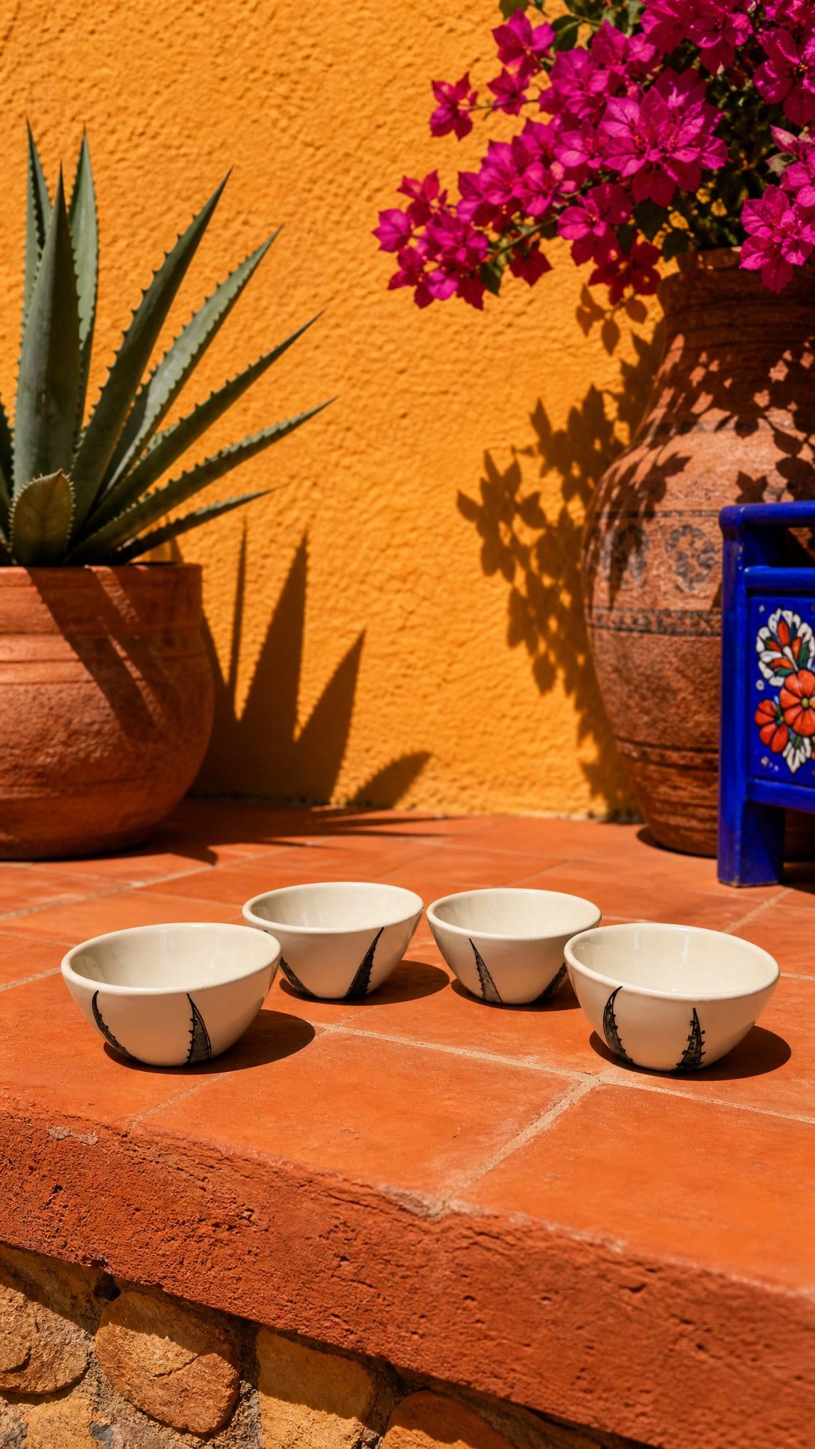 Colorful Agave | Rain Decanter Set